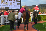241025-Race 7-Ideal Des Bordes-5798