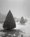 Otley Riverside Park in Winter Mist Pinhole Photograph