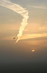 Bird at Sunrise