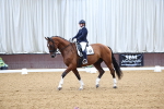 SBM_008490