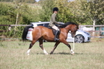 20260906-3135
