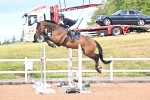 BPP_5631