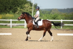 SBM_008797