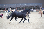 SBM_006200