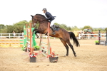 SBM_004904