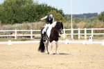 SBM_001593