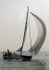 110425 SUNSAIL RACING 4007 IMG_7519