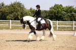 SBM_003686
