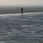 West Wittering - 32