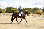 SBM_003367