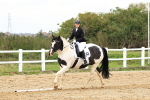 SBM_003534