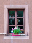 Kayserberg window dressing