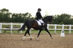 SBM_002832