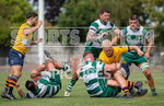 Guernsey Raiders v Old Albanian_2022-26
