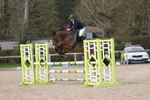 Unaffiliated Show Jumping portfolio