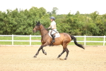 SBM_002499
