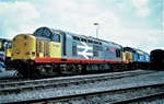 31st May 1987