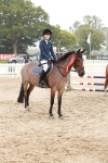 Supreme Championship Junior Pony 60cm & 65cm portfolio
