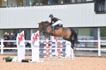 BPP_2986
