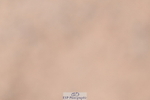260923B-132228-00375