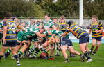 Guernsey Raiders v Worthing 2022-64