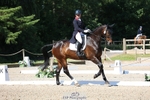 357-VIVENDI_HERO-Saffron_Cresswell-WEDTrotUp+DR portfolio