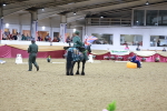 SBM_10182