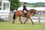 SBM_15990
