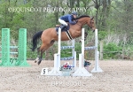 03rd - 06th May 2024 - Senior British Show Jumping 4 Day Show Cat 1 - Muirmill EC portfolio