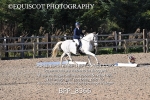 BPP_8366