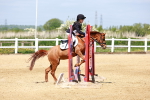 SBM_007487