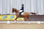 SBM_002368