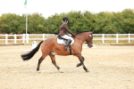 SBM_001461
