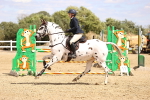 SBM_000994