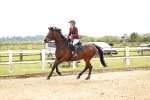 SBM_008077