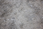 SBM_006104