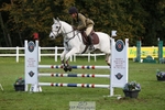 457-KILLOUGHTER.GOLD.DUST-Olivia.McDonald-TrotUp+SJ portfolio