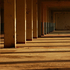Hall of Shadows