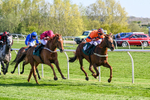 220426-Race 7-Free Pic-0962