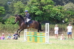 Class 7: Senior British Novice/90cm open portfolio