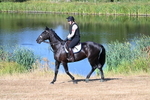 WJ7_6938