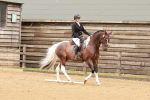 SBM_001914