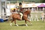 SBM_07676