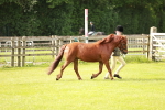 SBM_00440