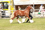 SBM_08558