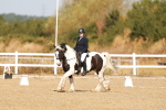 SBM_016770