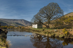 Lough Dan.