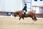 SBM_003230