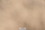 240514A-162738-00045