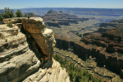 Grand Canyon - North Rim portfolio